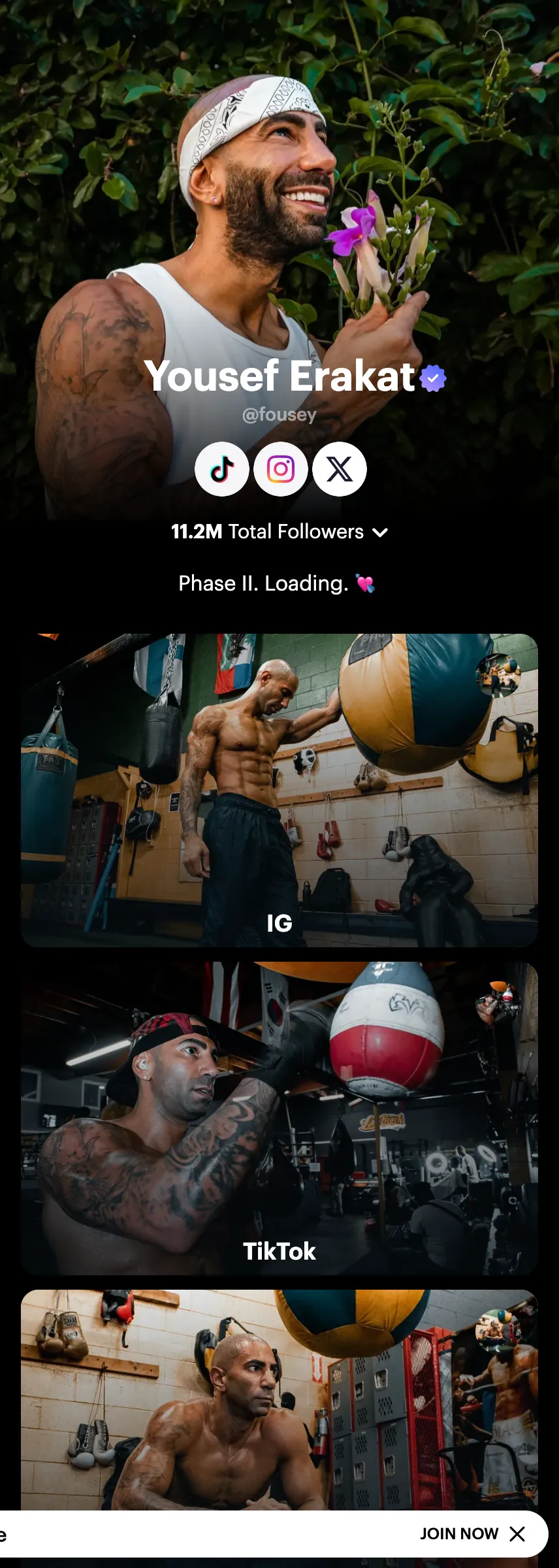 Profile screenshot (mirrored)