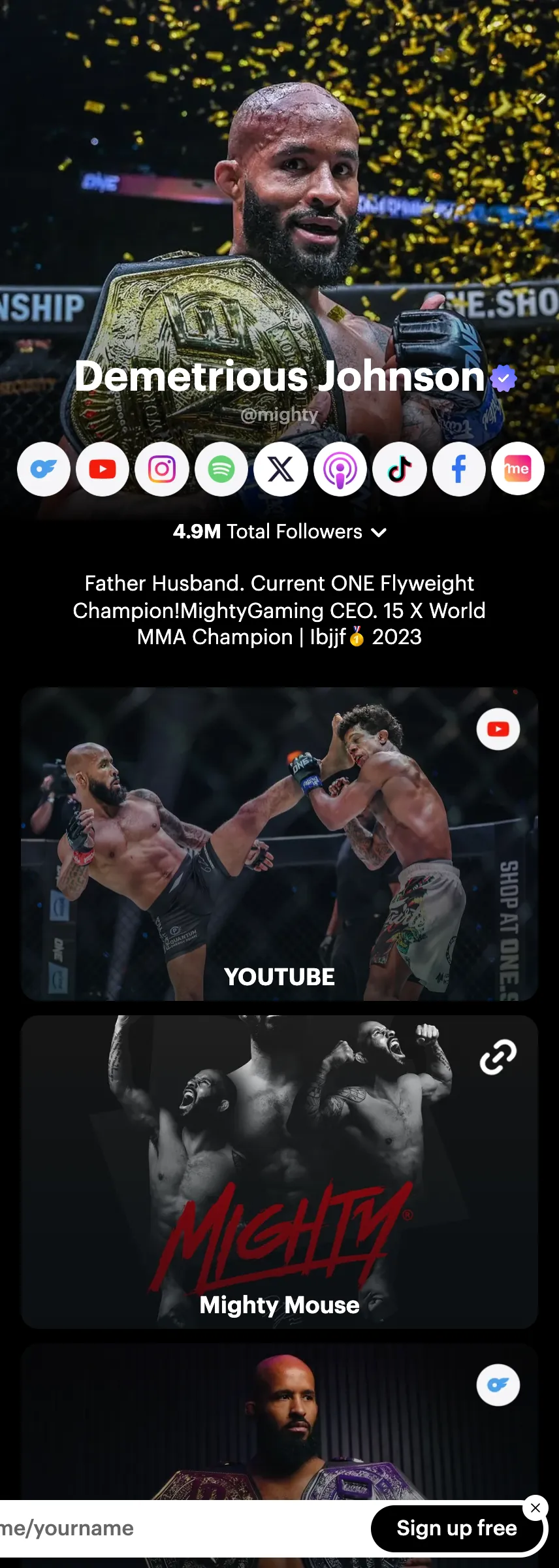 Profile screenshot (mirrored)